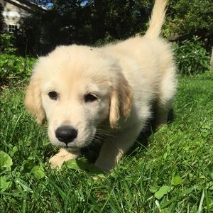 Meet your Posher, Maddie